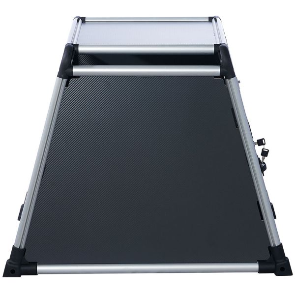 b-safe ELITE C2