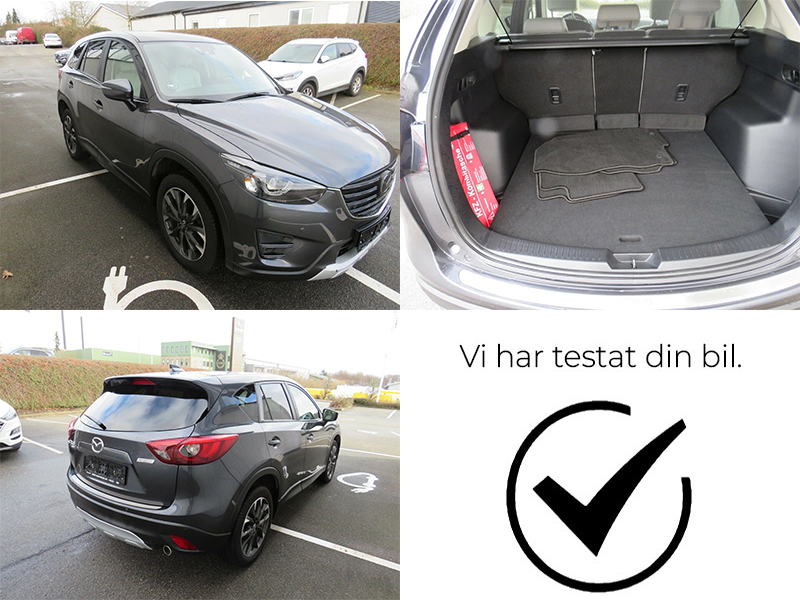 1. Gen (ca. 2013 -> 2017)
